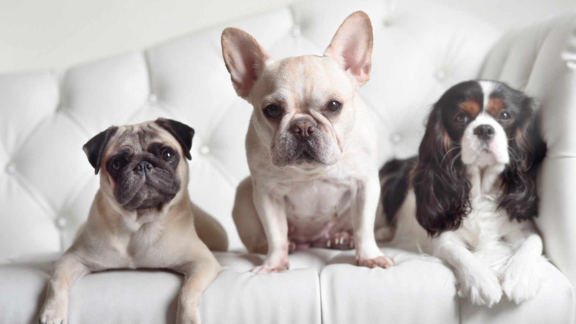 纪录之夜与生死时刻，拉文与尼克斯的平行狂想