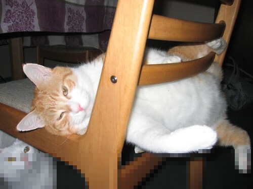 利爪撕开风城，杰伦·格林统治全场，老鹰踏平公牛