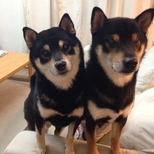 记忆的交叉，当莫德里奇出现在米兰与黄潜的旧日对决