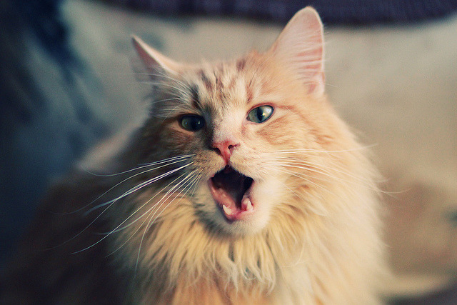 铁幕与优雅，当皮克以唯一方式定义国家德比