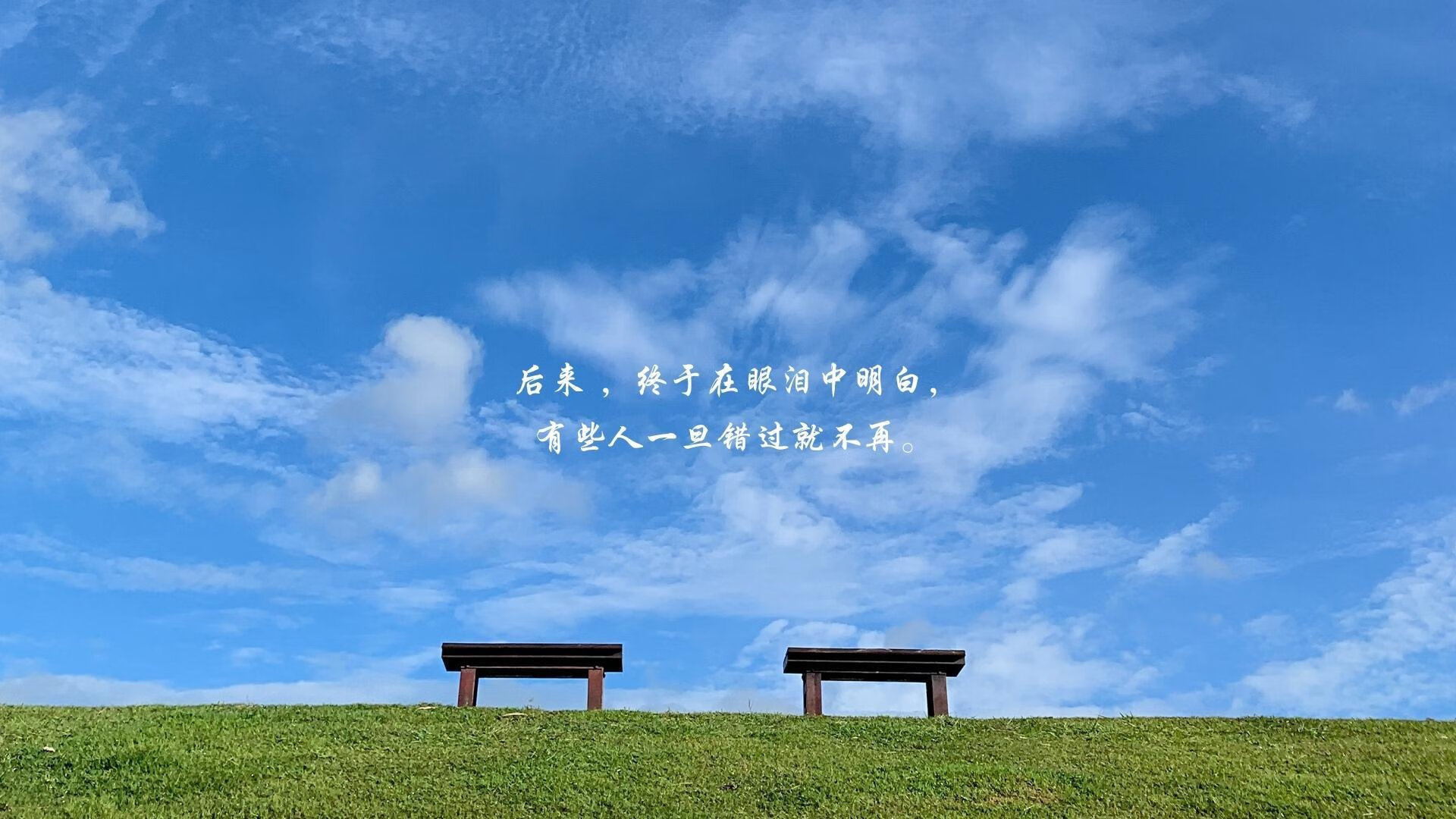 特奥闪耀时刻！勒沃库森补时绝杀丹麦劲旅，诠释永不放弃