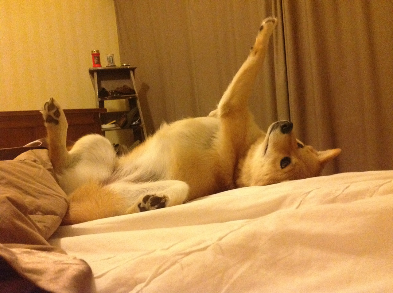 一球封神，马丁内利惊世一击背后的千年孤独