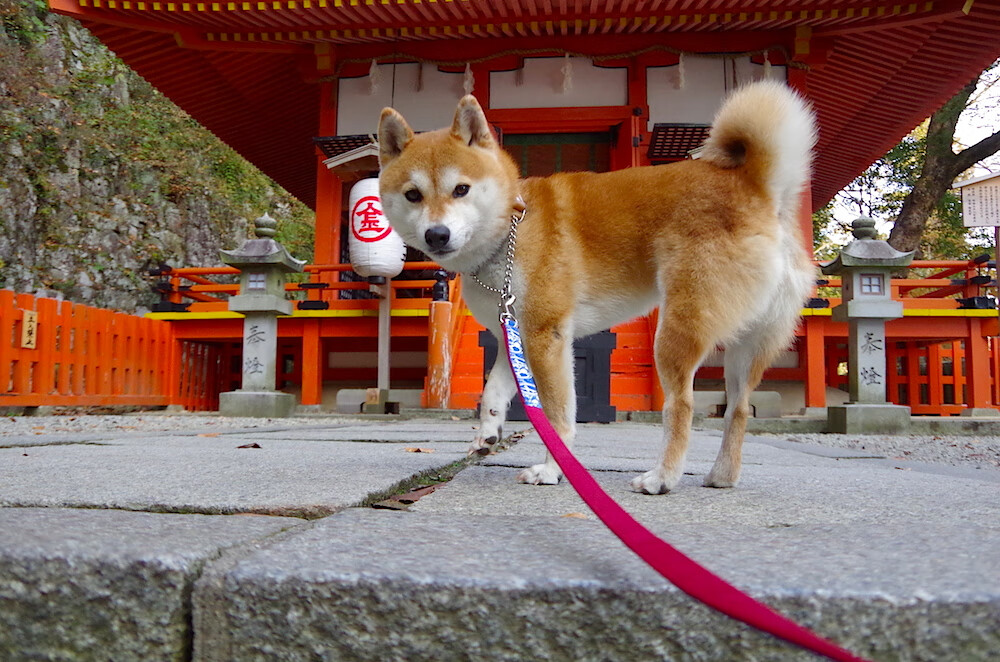 关键时刻的利刃，乔治一球定江山，将76人的未来掘入深渊