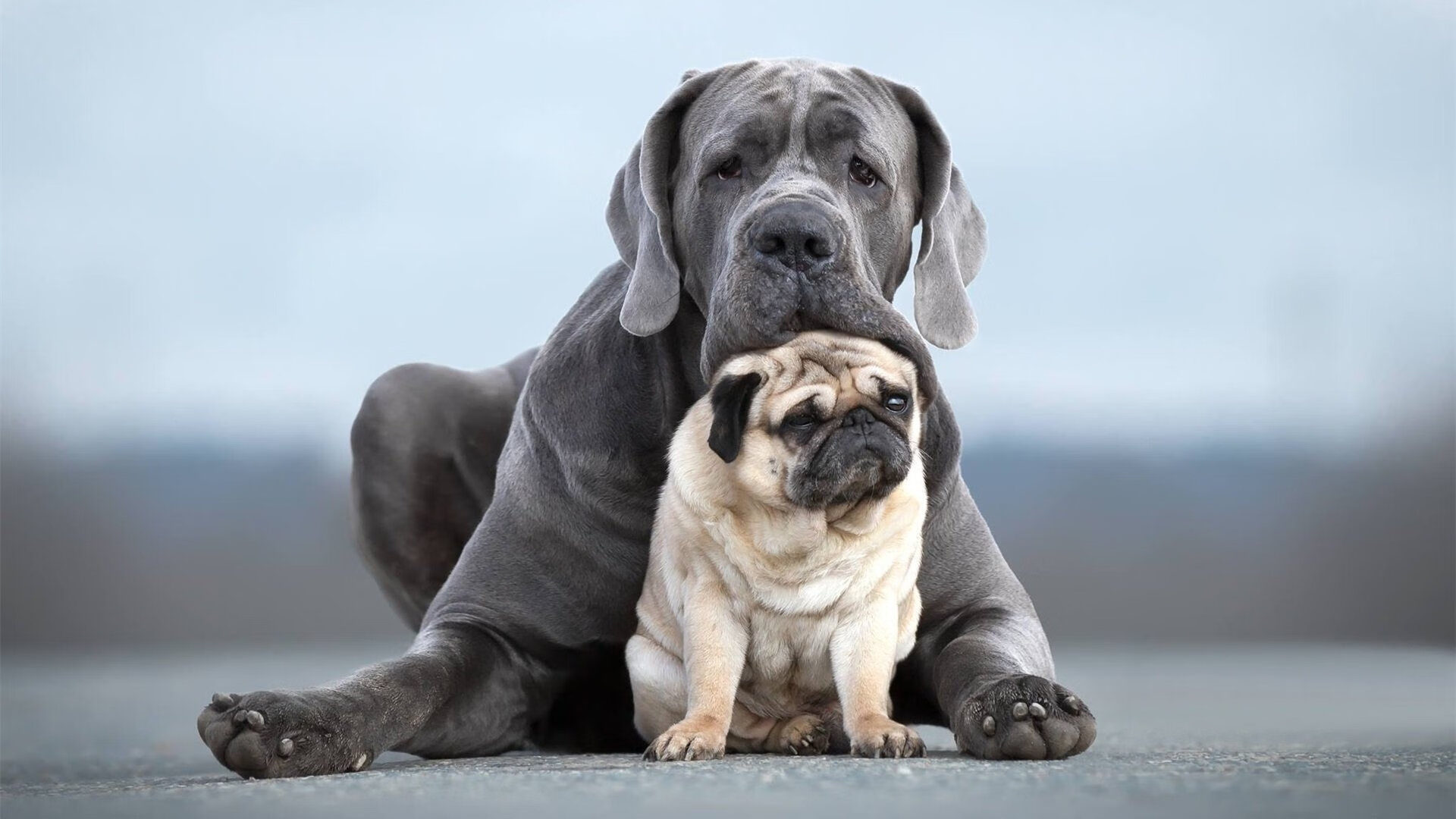 命运天平的两端，德布劳内的关键连杀与克罗地亚的绝地翻盘