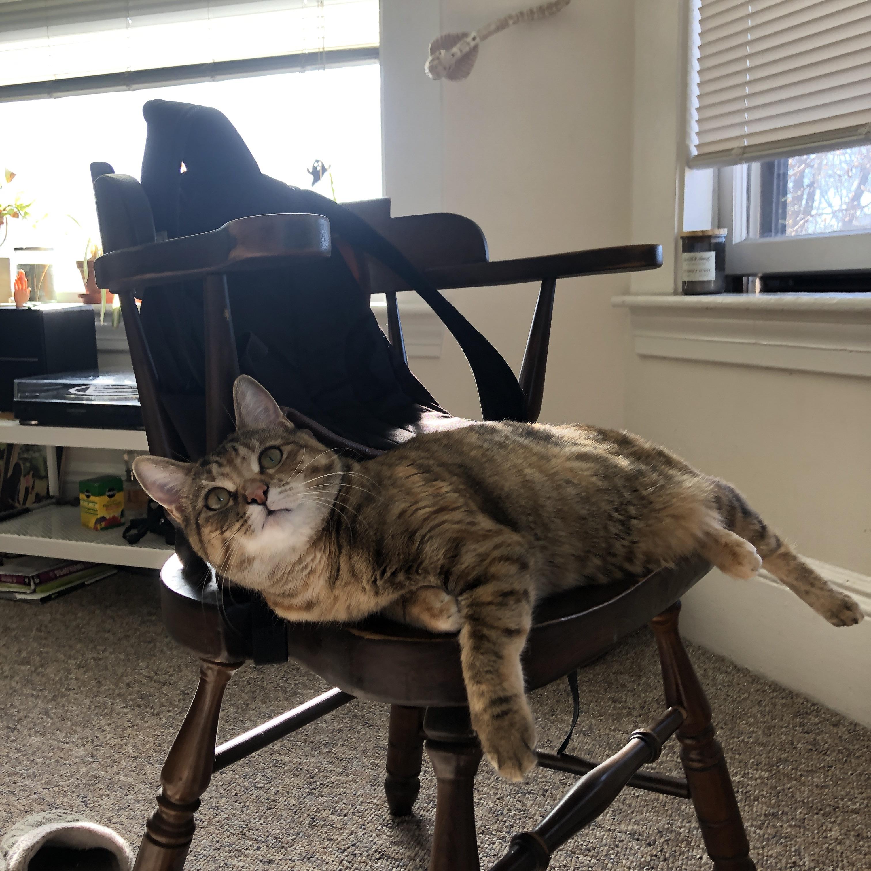 触不可及的赛场，当梅西的节奏在德甲之夜回荡