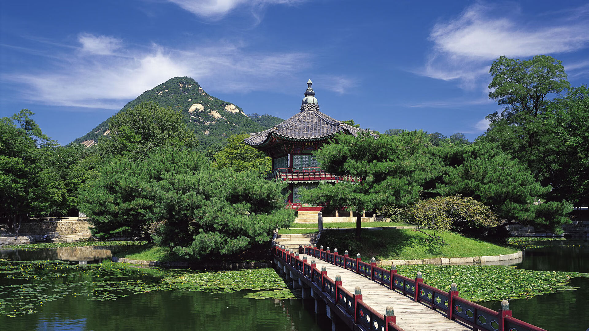 触不可及的赛场，当梅西的节奏在德甲之夜回荡