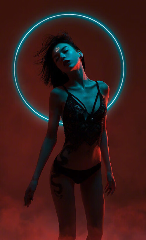 碾压与逆转，2026世界杯揭幕战的时空裂痕—范戴克降临，越南神话诞生